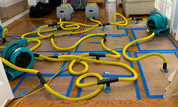 Professional Water Damage Repair technician working in East Templeton, MA